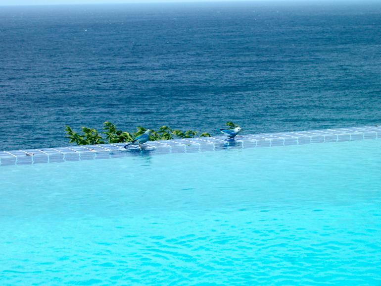 Being Villa Plymouth Екстериор снимка